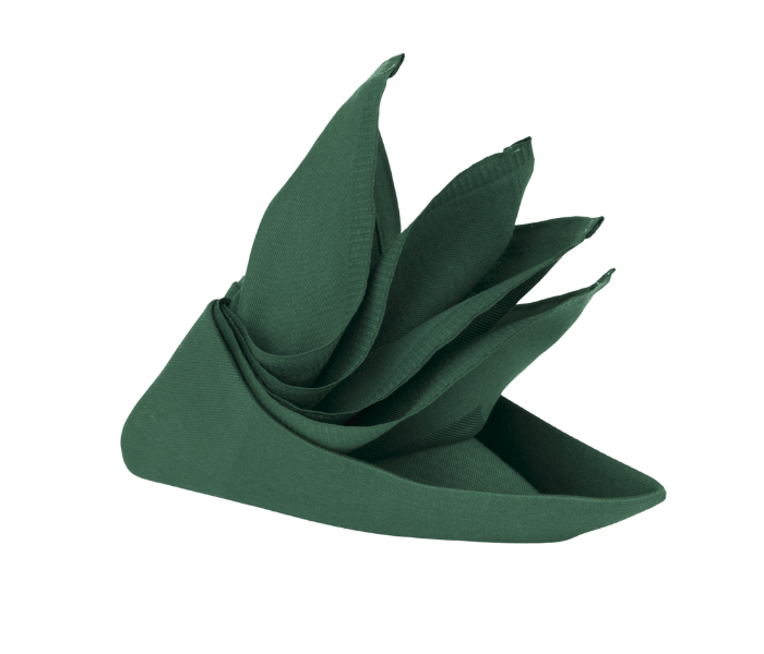 Банкетна салфетка 50x50cm зелена обикновена - Image 2